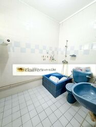 Blk 231 Bishan Street 23 (Bishan), HDB Executive #502312491